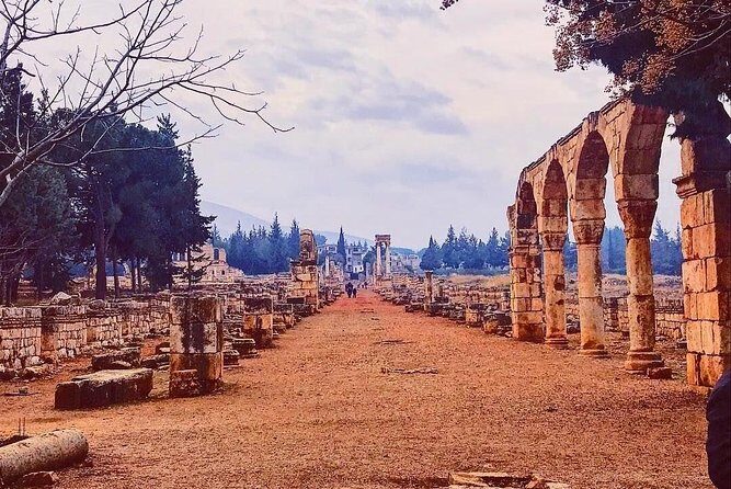 Baalback , Anjar & Chateau Ksara - Price and value: where this fits and where it doesn’t