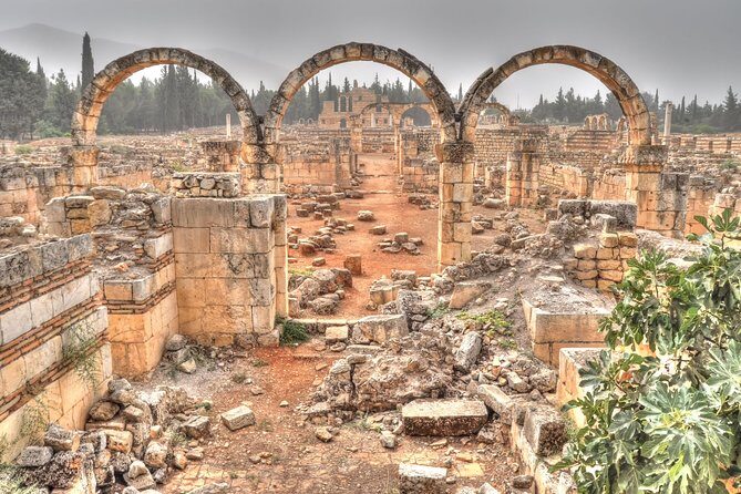 Baalbek - Anjar - Ksara Trip From Beirut - Price and value: what $34 buys (and what it doesn’t)