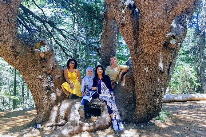 Beirut to Qadisha Valley, Bcharri & Cedar: Daily Tours with Lunch - The Gibran Museum: Paintings, Studio Belongings, and a Former Monastery
