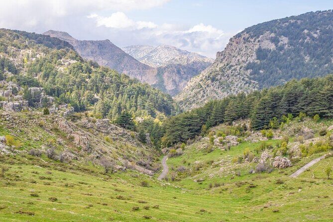 Cedars of Lebanon, Qozhaya, & Bcharre - With Lunch (4G on Board) - Qadisha Valley: the Holy Valley where faith meets rock