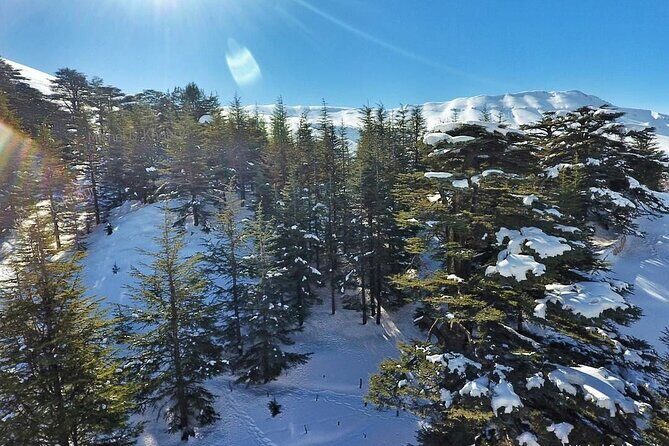 Cedars of Lebanon, Qozhaya, & Bcharre - With Lunch (4G on Board) - Pickup, coach ride, and what the timing really means