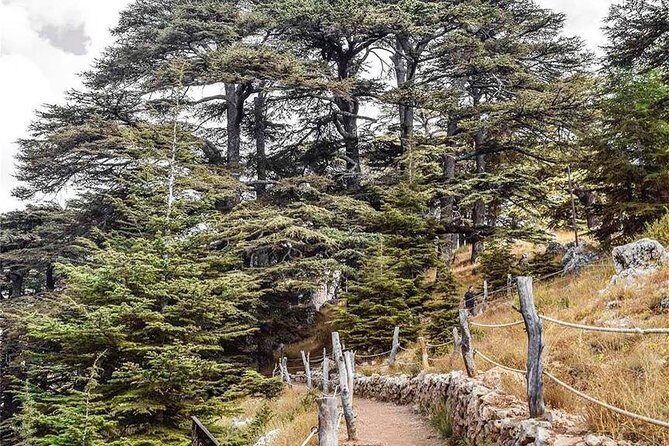 Cedars of Lebanon, Qozhaya, & Bcharre - With Lunch (4G on Board) - Bsharri: Gibran’s birthplace and the art of seeing a place