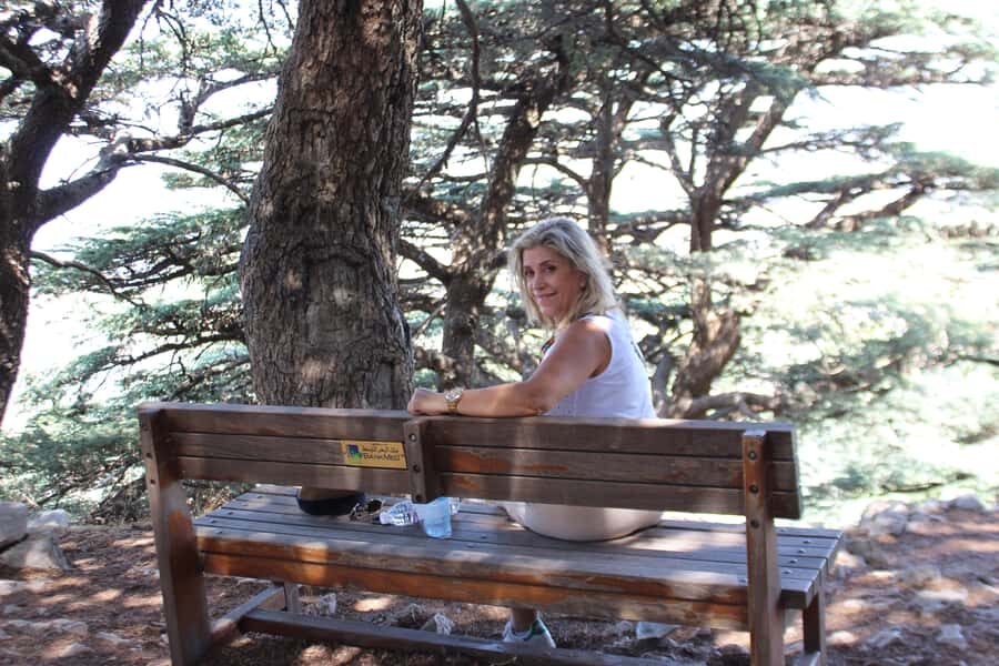 Cedars Shouf & Beiteddine w/pick-up, guide, entries+lunch - Deir el Qamar: wandering stone streets and timing your lunch