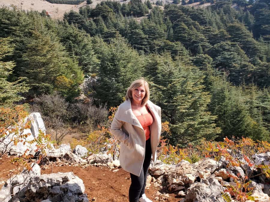 Cedars Shouf & Beiteddine w/pick-up, guide, entries+lunch - Who this trip is best for (and who should choose something else)