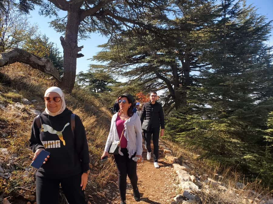 Cedars Shouf & Beiteddine w/pick-up, guide, entries+lunch - Should you book Cedars Shouf & Beiteddine?