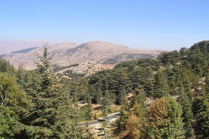 DeirElkamar, Beitdeen, Moussa Palace, EinwZien Grotto,Full-Day Trip PRIVATE-CAR - Moussa Castle: One Man’s Build and Why the Hill Matters