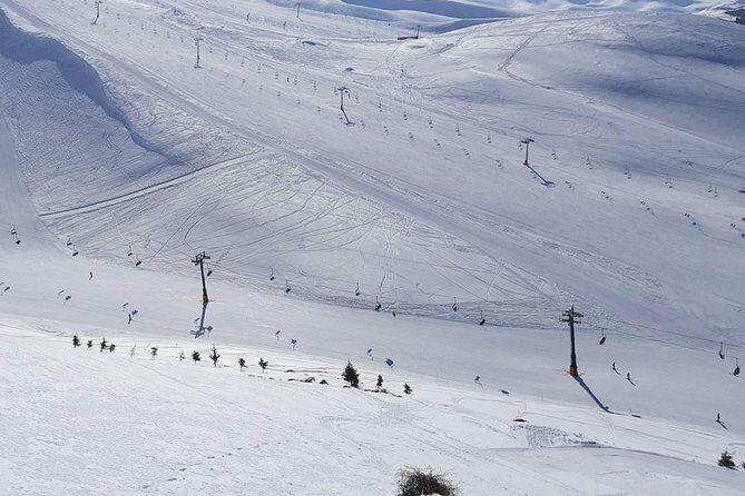 Faraya Ski Resort Lebanon - Après-Ski in Faraya: Bars and Restaurants That Keep the Day Flexible
