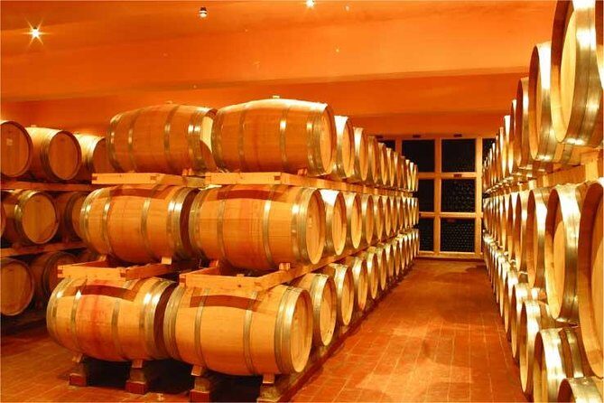 Full-Day Private Wine Tasting Tour - Château St Thomas and the arak legacy behind the pours