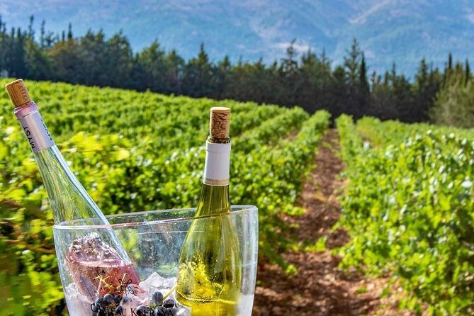 Full-Day Private Wine Tasting Tour - Timing, pacing, and comfort on an 8-hour private day