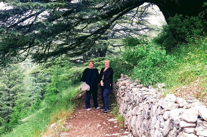 Guided Full-Day Private Trip to Cedars, Baalbek and Chateau Ksara - Private Beirut Pickup to Beqaa Valley: How the Day Flows