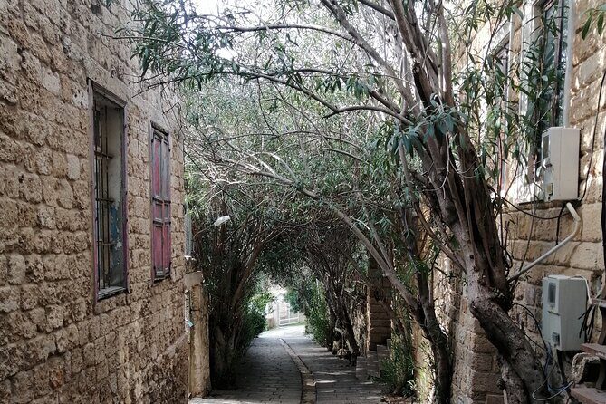Guided Semi-Private Tour to Jeita, Harissa & Byblos - Byblos port and Mediterranean Lebanese food before heading back
