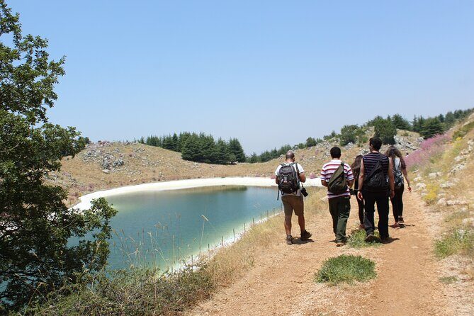Guided small group to Cedars Reserve & Beiteddine w/lunch+entries - Shouf Cedars Reserve: forests and mountain scenery without self-driving stress