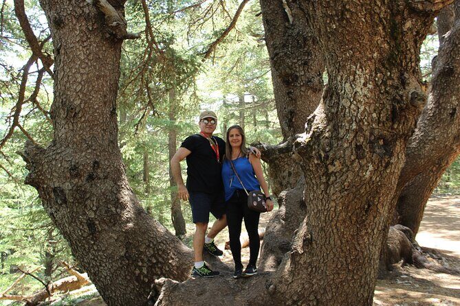 Guided small group to Cedars Reserve & Beiteddine w/lunch+entries - Getting around Beirut to the Chouf hills: transfers make a difference