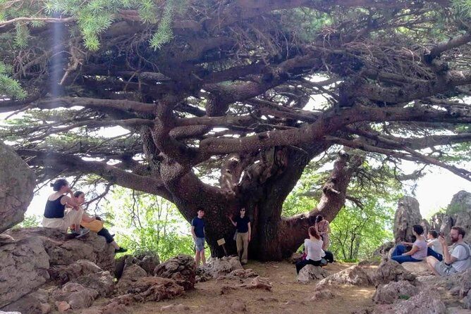 Guided Small-Group Tour to Qadisha, Bcharee & Cedars with Lunch - Bcharre: Churches, Cedars, Ski History, and Kahlil Gibran