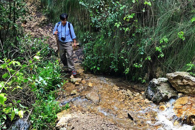 Hike Chouwen - The Trek Toward the Summit and Lunch on Your Own