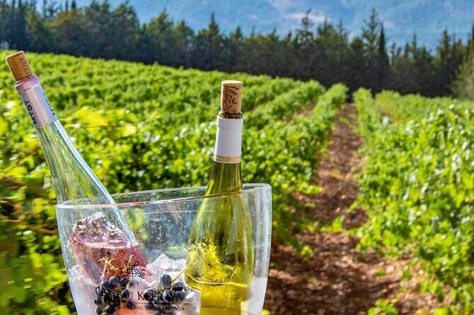 Journey Through Lebanese Wine: A Private Tour in the Beqaa Valley - Stop 2: Château Kefraya and the High-Terrace Grape Mix