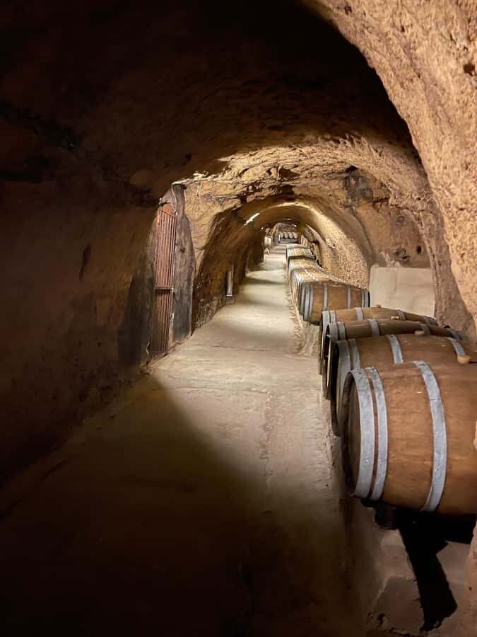 Lebanese wineries guided tour with tastings & lunch - Chateau Kefraya: a guided tasting across Lebanon’s wine styles
