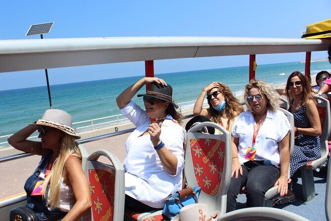Lebanon tour Sidon & Tyre ruins with pick-up, guide,lunch+entries - Who should book this Sidon and Tyre ruins tour?