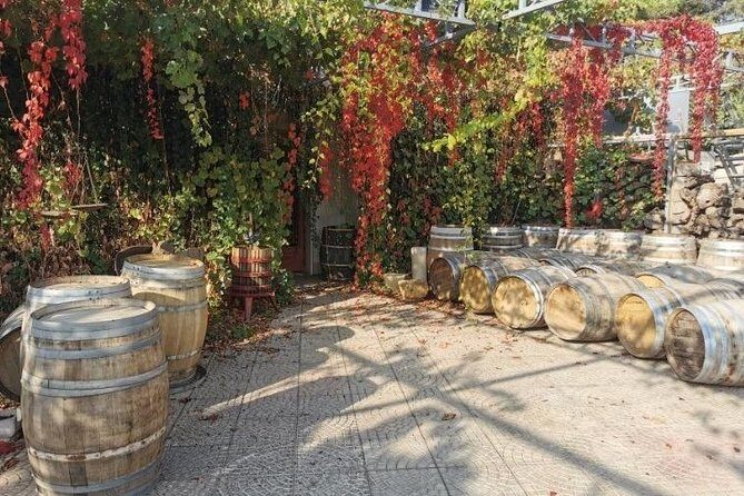 Lebanon Wine Tasting Tour From Beirut - Zahle lunch stop: a quick reset in wine-country town life