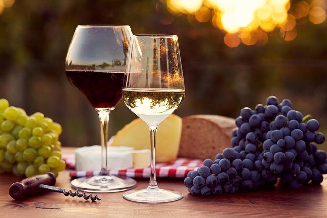 Lebanon Wine Tasting Tour From Beirut - Price and value: $91.03 for a full day away from logistics
