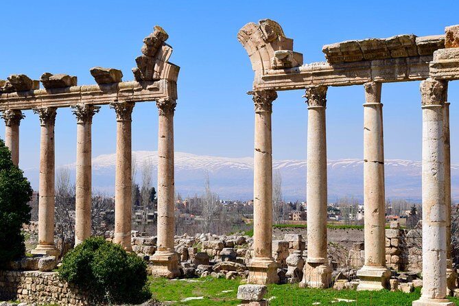 PRIVATE Tour of Baalbek Temples, Umayyad Anjar & Ksara Winery - Chateau Ksara: tasting, cellars, and how to make the most of the hour