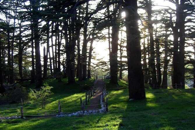 PRIVATE Tour to Cedars of God, Besharre & Qozhaya Valley - Key highlights at a glance