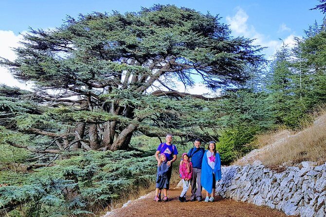 Private Trip to Beiteddine, Deir el Qamar & Maaser el Chouf Cedars - Shouf Cedars Reserve: Lebanon’s cedar and a real nature break