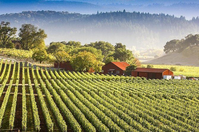 PRIVATE Wine Tasting Tour to the Bekaa Valey Fabulous Wineries - What the Local Guides Add (and Why It Changes the Feel)