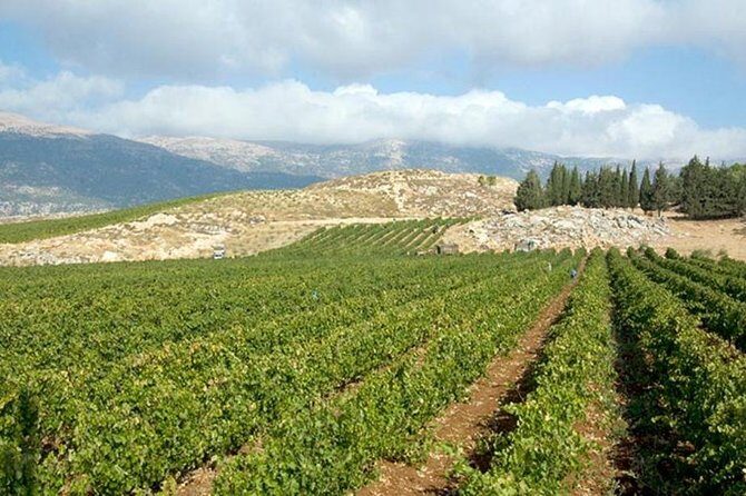 PRIVATE Wine Tasting Tour to the Bekaa Valey Fabulous Wineries - The Bekaa Valley Scenery: Worth It Even If You’re Not a Landscape Person