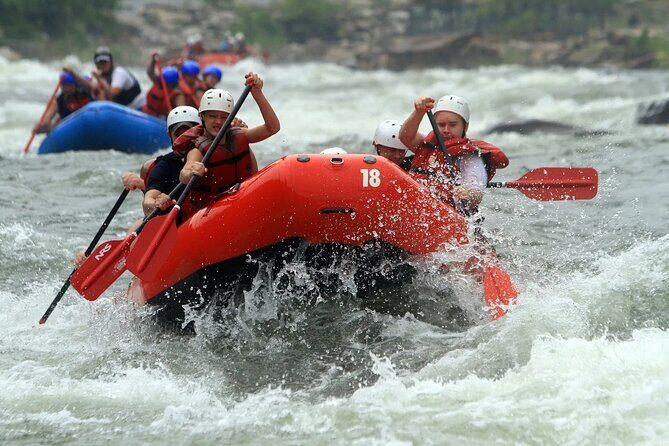Rafting Activity From Beirut, Lebanon - Rafting on the Assi River: training first, 2.5 miles of rapids fun
