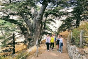 Small-Group Tour with Lunch to Qadisha Valley, Bcharre and Cedars - Leaving Qadisha Valley’s Caves and Monasteries in Your Head
