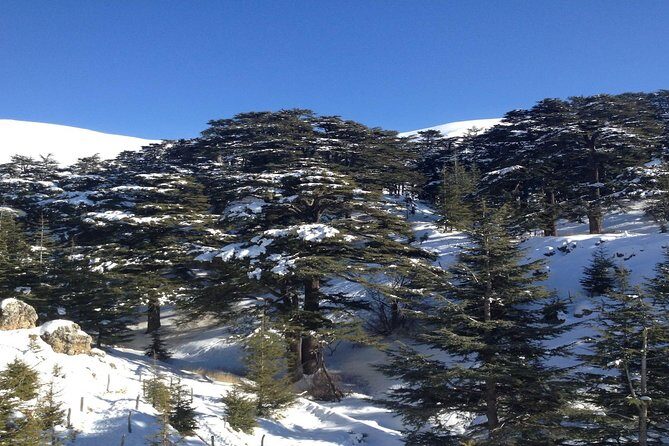 Small Group Tours to Qadisha Valley, Bcharre and Cedars with lunch and all fees - Bcharré (Bcharre): the city of churches plus Gibran and cedar-ski history