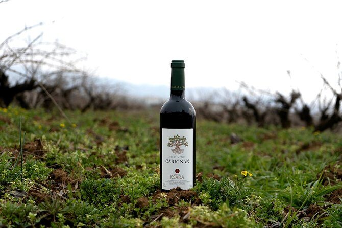 Wine Tasting and Culture - Château St Thomas: hillside vineyards and Beqaa soil